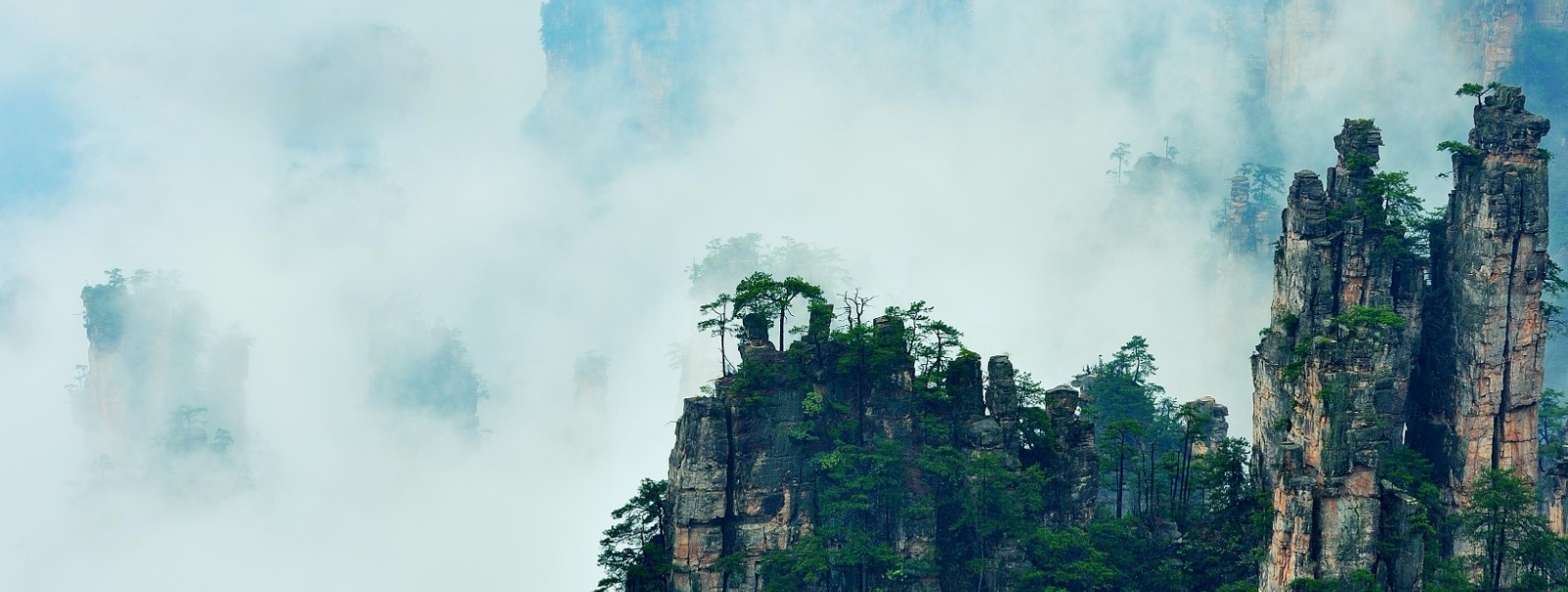 生态景区 &middot; 森林氧吧