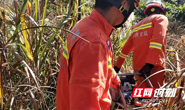 老人山中误踩捕兽夹 桑植消防紧急救援